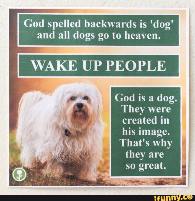 [10000印刷√] dog is god spelled backwards meme 269383-Dog spelled backwards is god meme