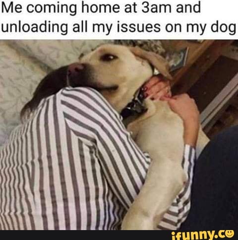 Me coming home at and unloading all my issues on my dog