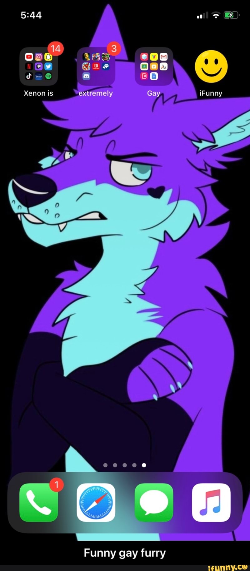 Funny gay furry