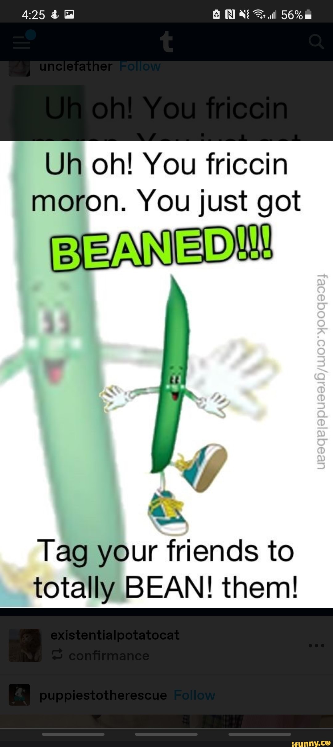 Al Uh Oh You Friccin Moron You Just Got Beaned As Your Friends To Totally Bean Them