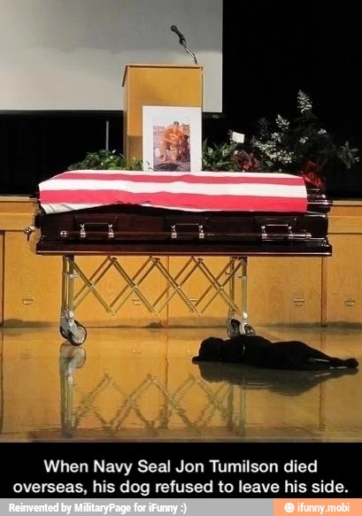 When Navy Seal Jon Tumilson died
overseas, his dog refused to leave