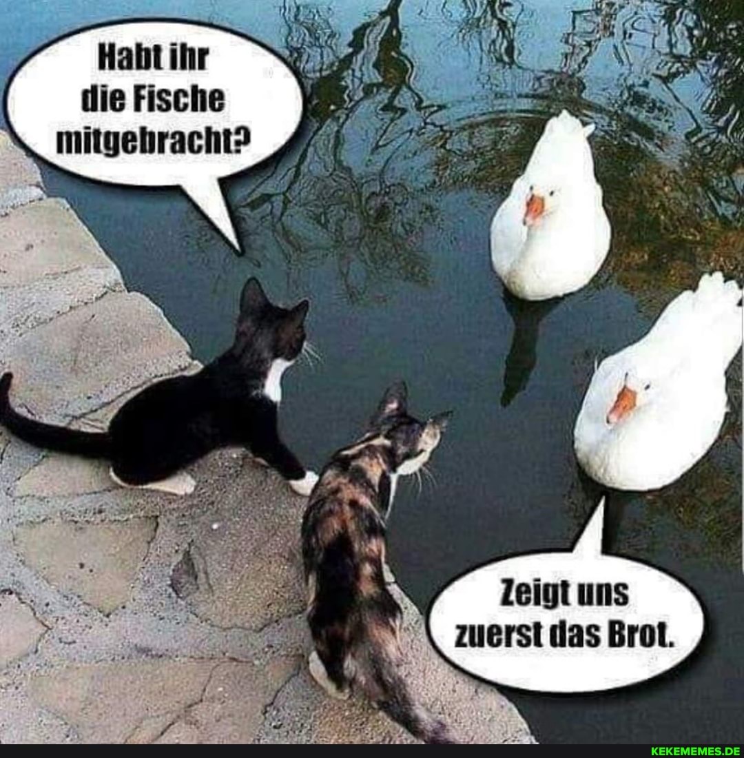 Haht ihr die Fische mitgebracht?
Zeigt uns zuerst das Brot.