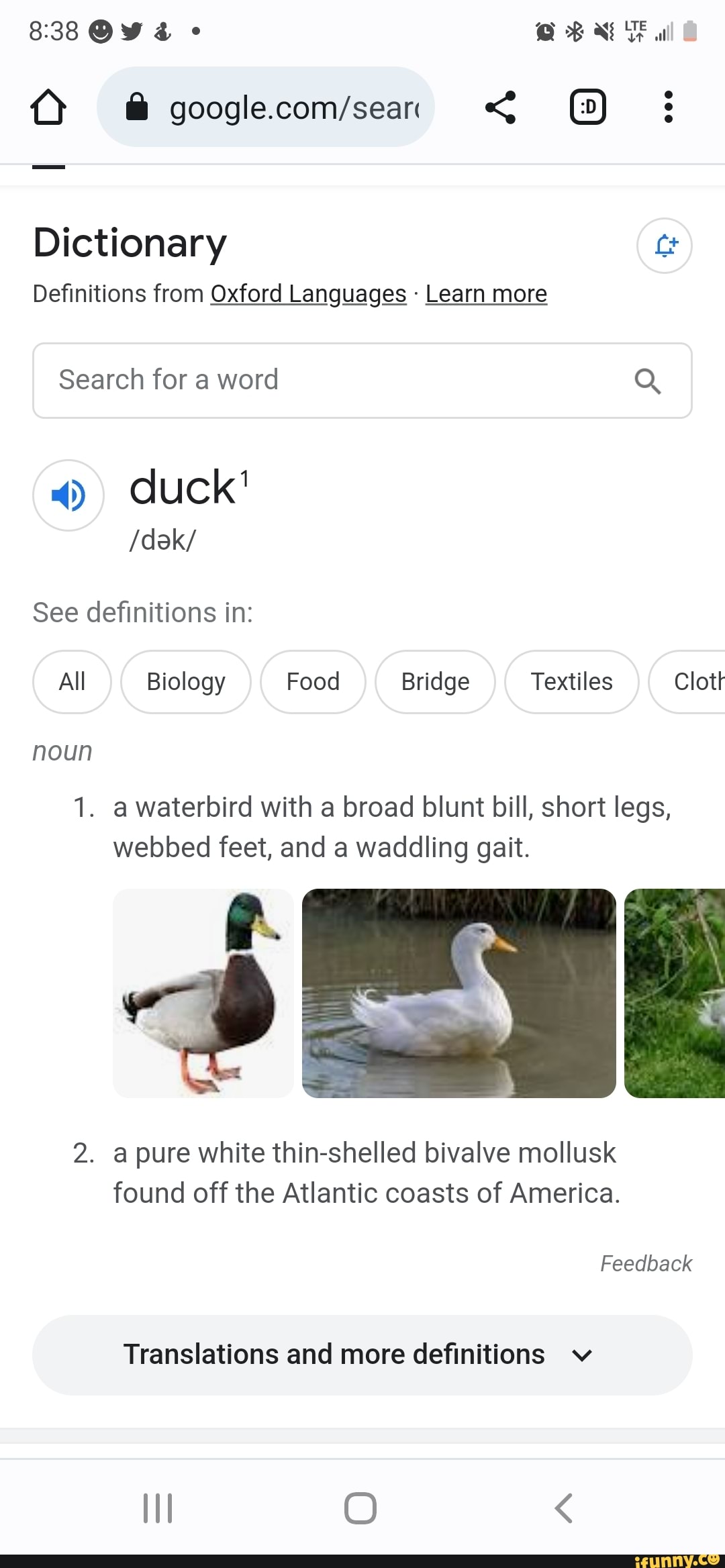 Waterbird memes. Best Collection of funny Waterbird pictures on iFunny