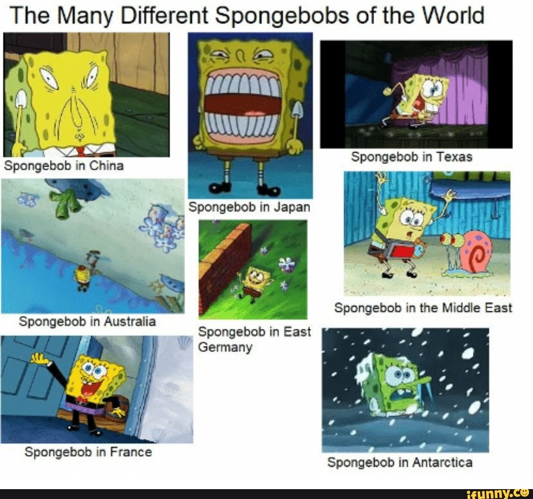fin spongebob