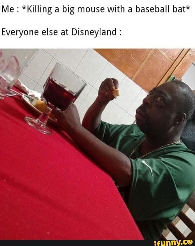Me *Killing a big mouse with a baseball bat*
Everyone else at Disneyland