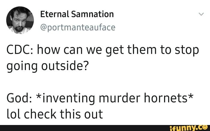 CDC: how can we get them to stop
going outside?
God: *inventing murder hornets*
lol check this out