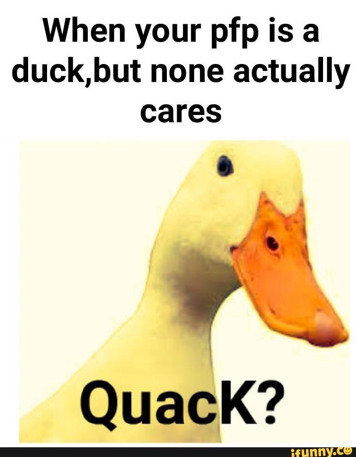 Whose is this duck. Then act. Гусь мем. Who картинка для детей. Угарный гусь.