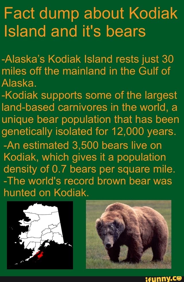 Fact dump about Kodiak
Island and it's bears
-Alaska's Kodiak Island rests just 30 miles off the mainland in the Gulf of
Alaska.
-Kodiak supports some of the largest land-based carnivores in the world, a unique bear population that has been genetically isolated for 12,000 years.
-An estimated 3,500 bears live on
Kodiak, which gives it a population density of 0.7 bears per square mile.
-The world's record brown bear was hunted on Kodiak.