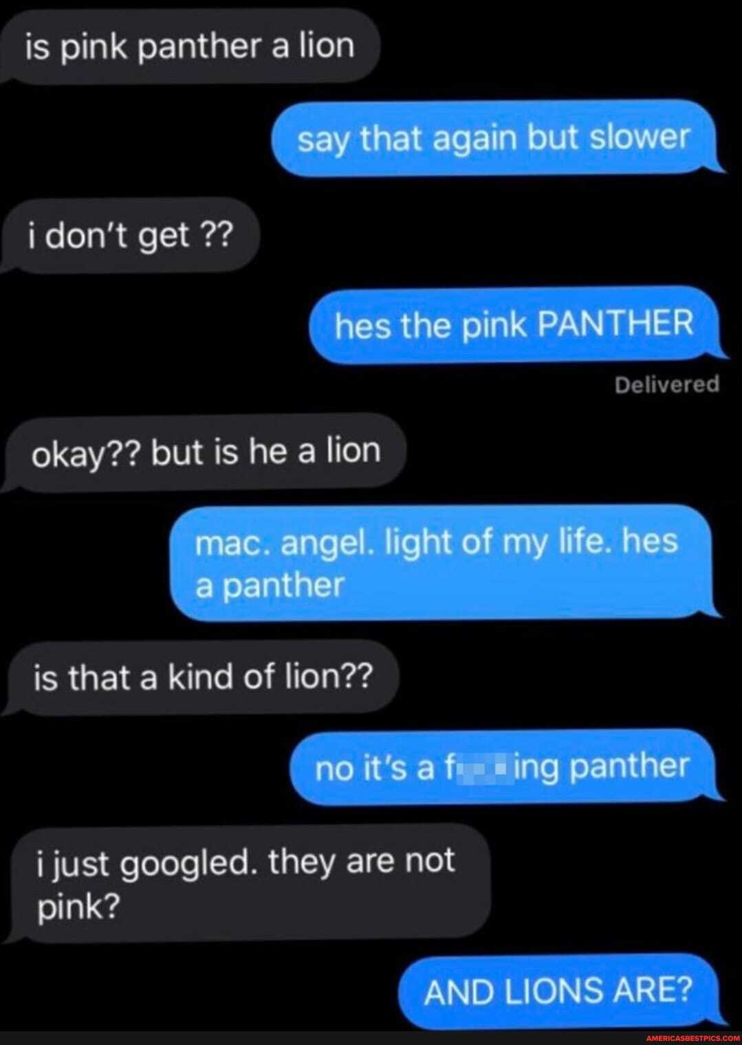 is pink panther a lion
\ S-y aga ovr so I
i don't get
hes the pink PANT ER
Delivered
okay?? but is he a lion
mae the ry " I
is that a kind of lion??
it's at ng panther
just googled. they are not
pink?
AND LIONS ARE? I