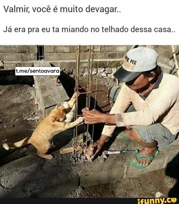 Valmir, você é muito devagar.
Já era pra eu ta miando no telhado dessa casa