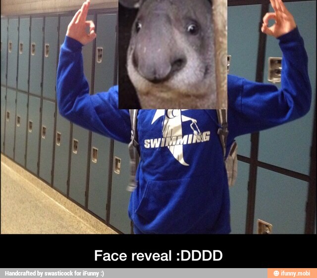 Face reveal :DDDD - Face reveal :DDDD
