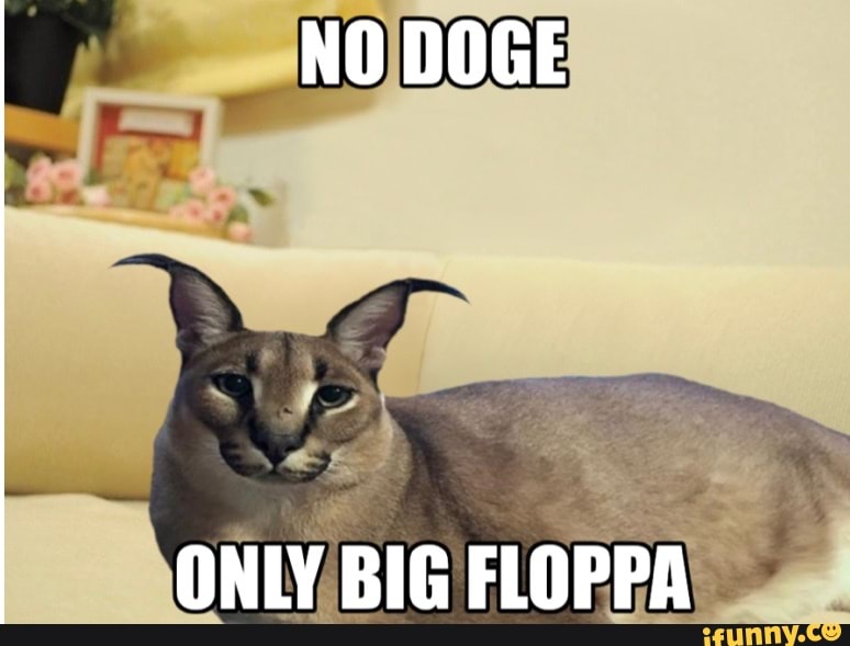 Floppy meme. Кот Шлепа. Шлеппа floppa. Шлепа Мем. Флоппи кот Мем.