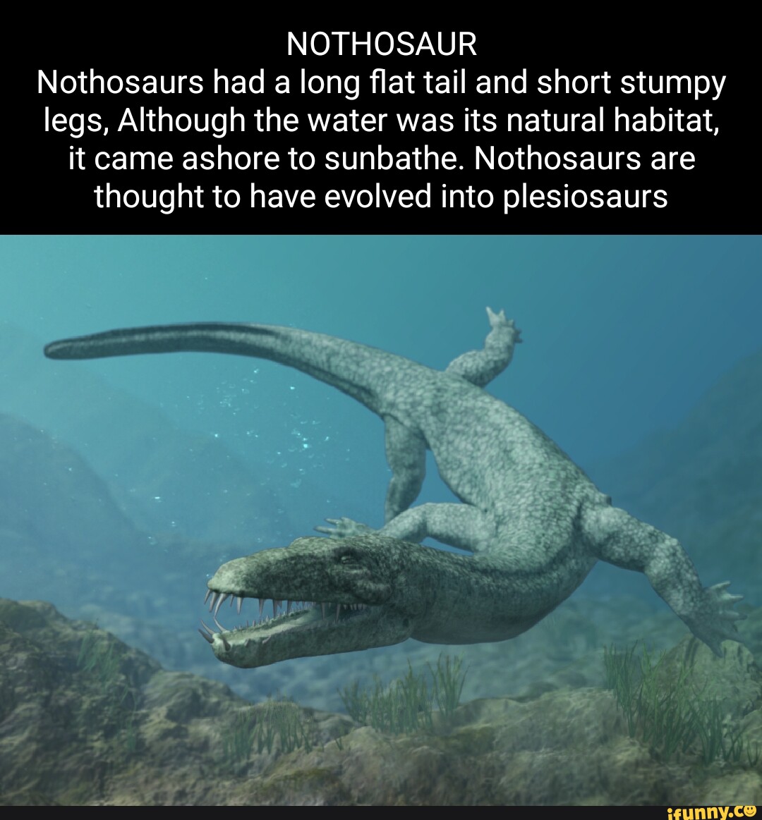 Вымерший ящер. Нотозавр мир Юрского периода. Нотозавр динозавр. Нотозавр Триасового периода. Плезиозавр Юрского периода.