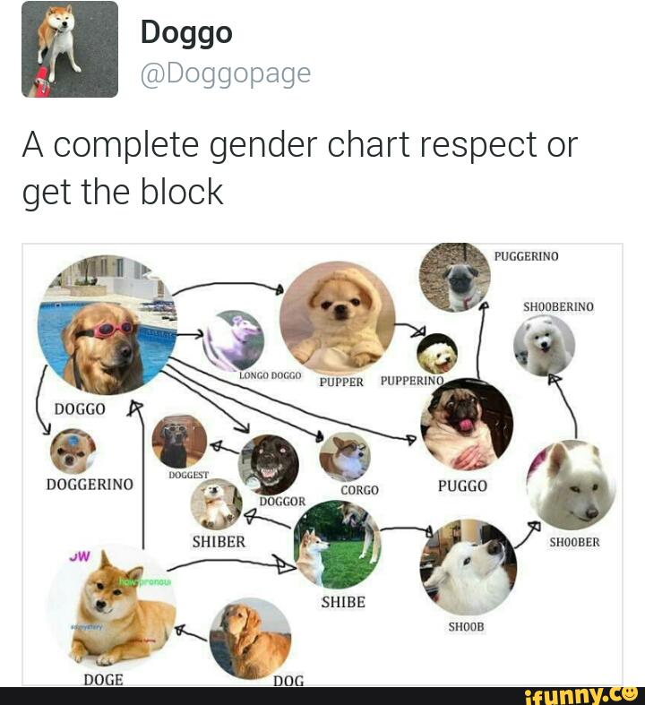 Pupper Doggo Woofer Chart