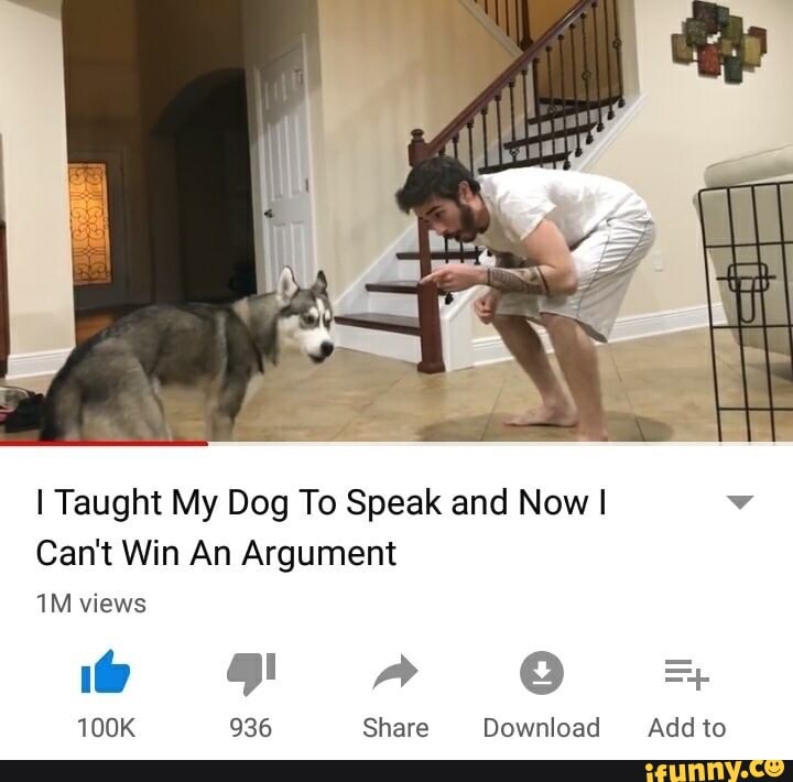 I Taught My Dog To Speak and Now I Can't Win An Argument
views
FF A O *
100K 936 Share Download Add to