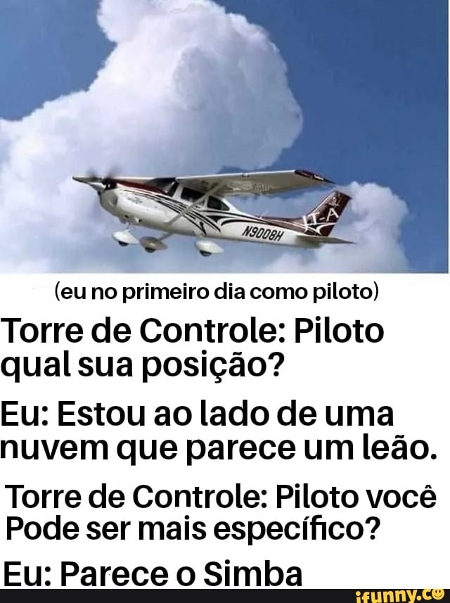 (eu no primeiro dia como piloto)
Torre de Controle: Piloto qual sua posição?
Eu: Estou ao lado de uma nuvem que parece um leão.
Torre de Controle: Piloto você
Pode ser mais específico?
Eu: Parece o Simba