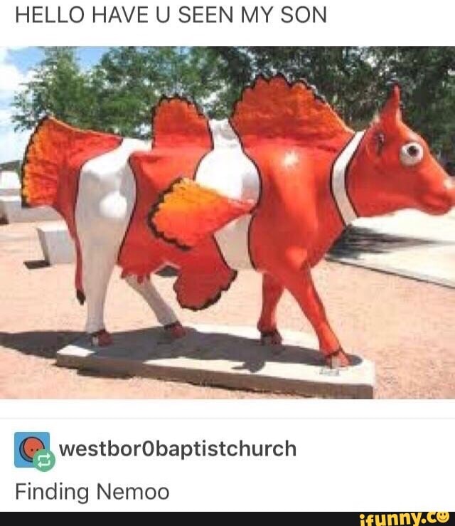 HELLO HAVE U SEEN MY SON
BB, westborobaptistchurch
Finding Nemoo