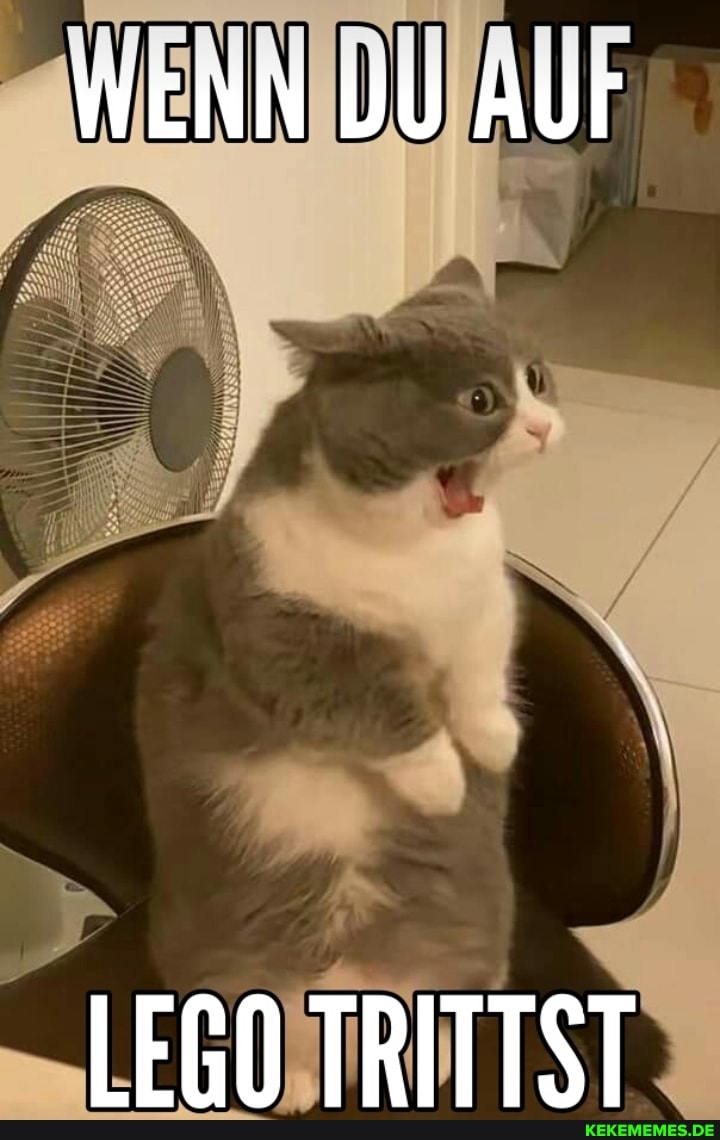 WENN DU Aur
LEGO TRITTST