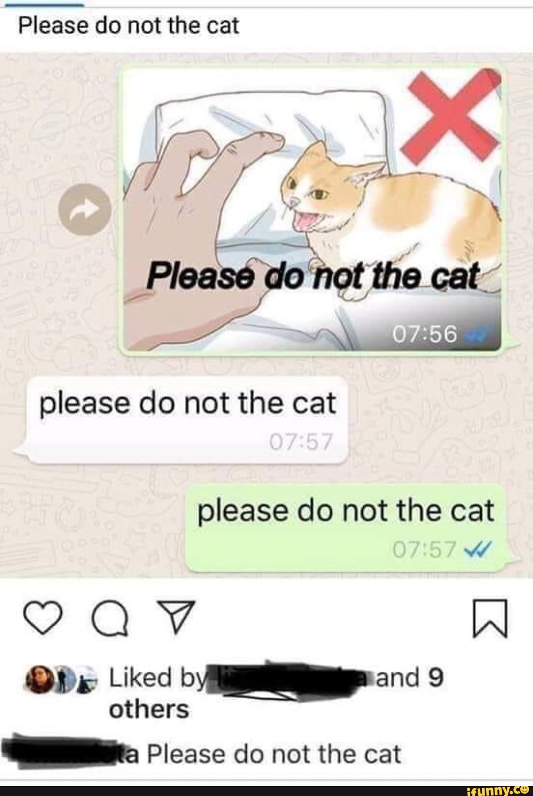 Did the cat say. Do not the Cat. Please Cat. Please do not the Cat meme. Нот Кэт.