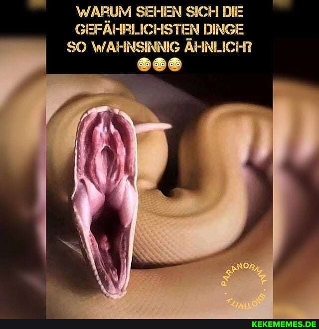 WARUM SEHEN SICH DIE GEFAHRLICHSTEN DINGE SO WAHNSINNIG AHNLICH?