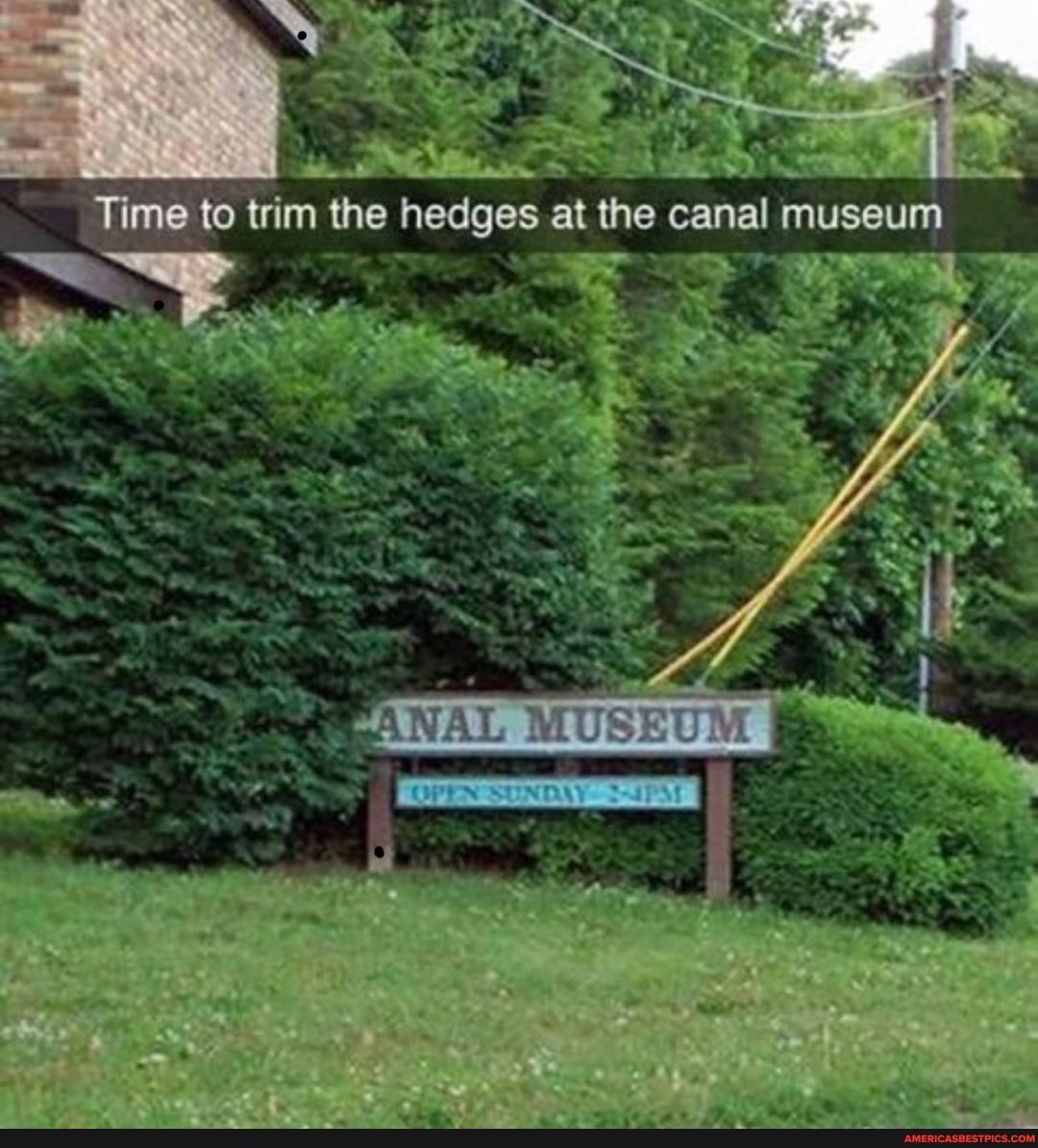 Time to trim the hedges at the canal museum
