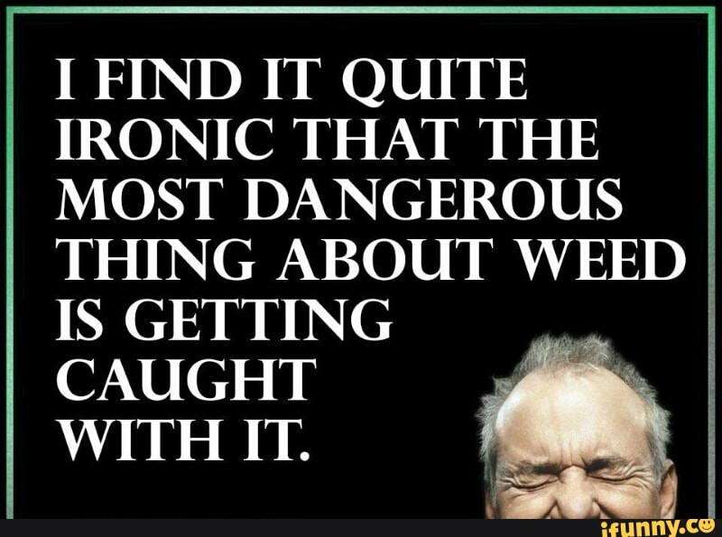 I Find It Quite Ironic That The Most Dangerous Thing About Weed Is Getting Caught With It