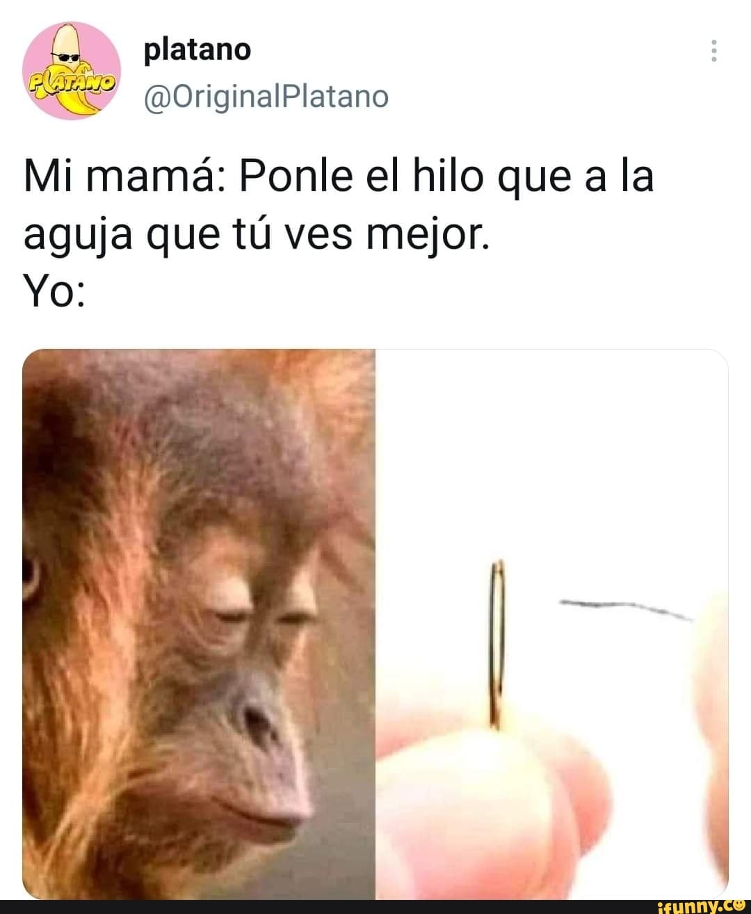 Platano (MOriginalPlatano Mi mamá: Ponle el hilo que a la aguja que t ves  mejor. Yo: - iFunny, image size:1080x1315