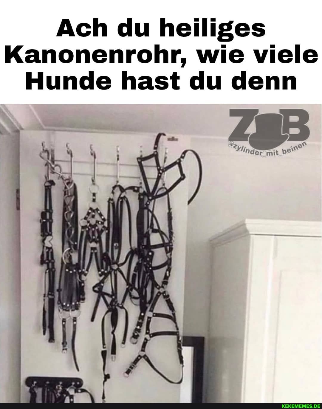 Ach du heiliges
Kanonenrohr, wie viele
Hunde hast du denn