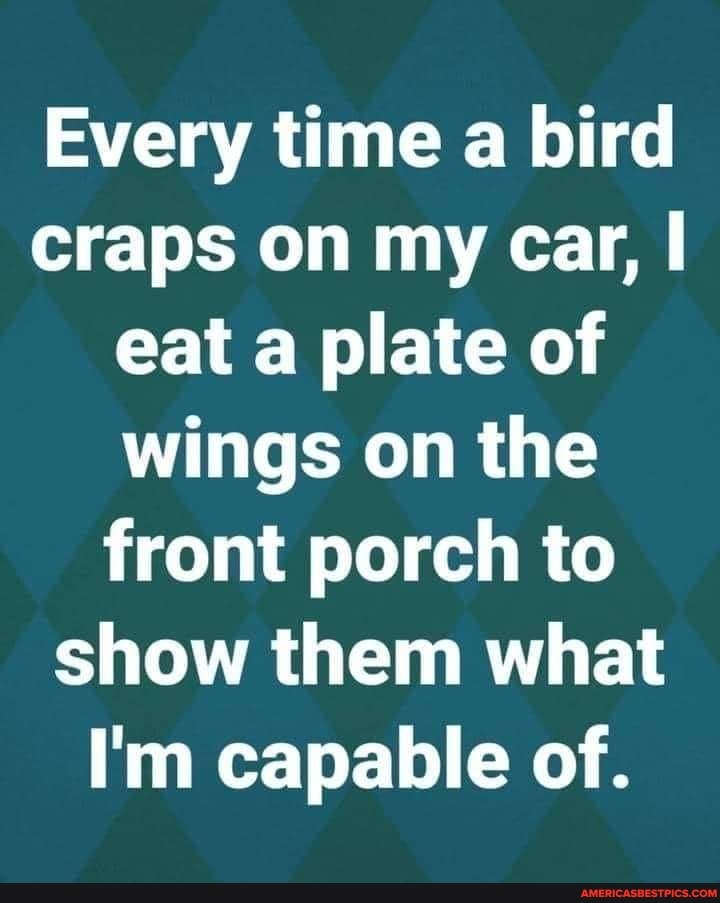 Every time a bird craps on my car, I eat a plate of wings on the front porch to show them what
I'm capable of.