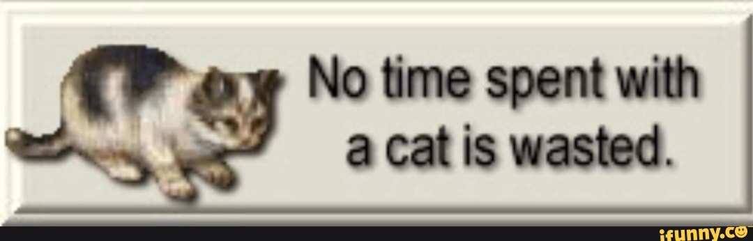 No time spent with