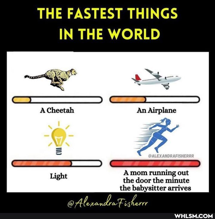 THE FASTEST THINGS IN THE WORLD
Cheetah
Amom running out the door the minute the babysitter arrives
