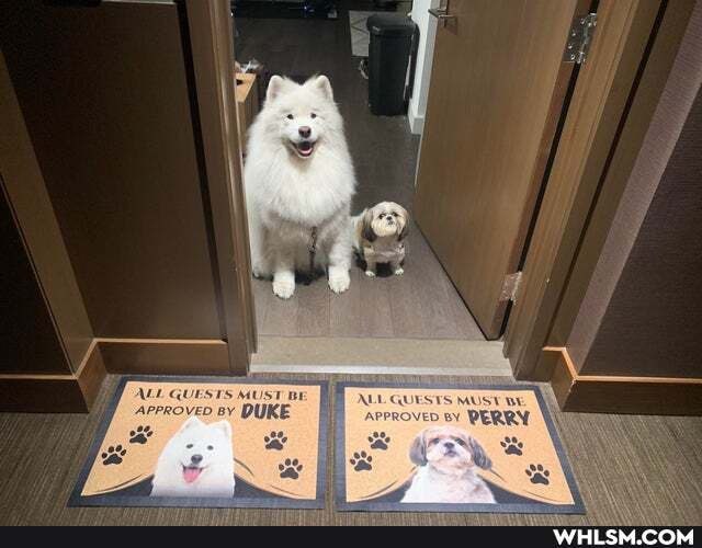 ALL QUESTS MUST BE
APPROVED BY DUKE
ALL QUESTS MUST BE
APPROVED BY PERRY.