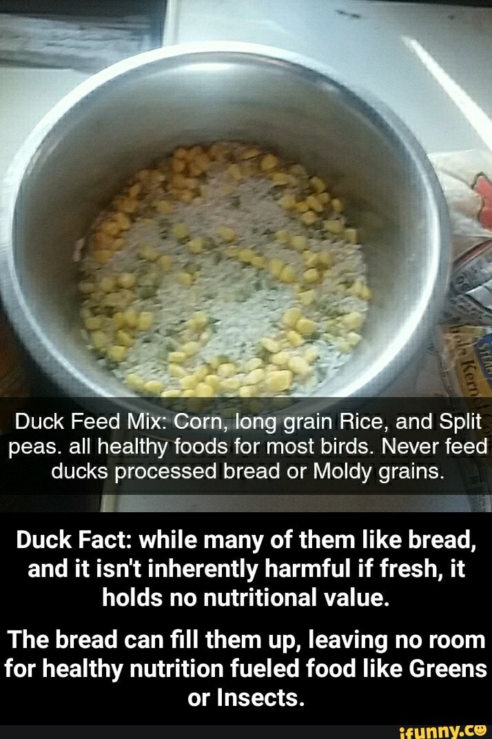 Duck Feed Mix Gorn, long grain Rice, and Split peas. all healthy foods
