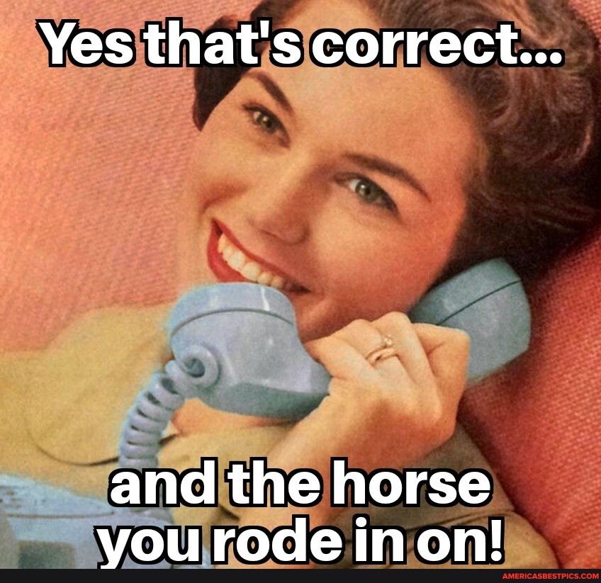 Yes that's correct... and the horse you rode in on! America’s best