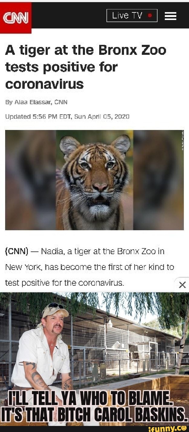 A tiger at the Bronx Zoo
tests positive for
coronavirus
By Alaa Elassar, CNN
Updated 5:56 PM EDT, Sun April 05, 2020
(CNN) Nadia, a tiger at the Bronx Zoo in