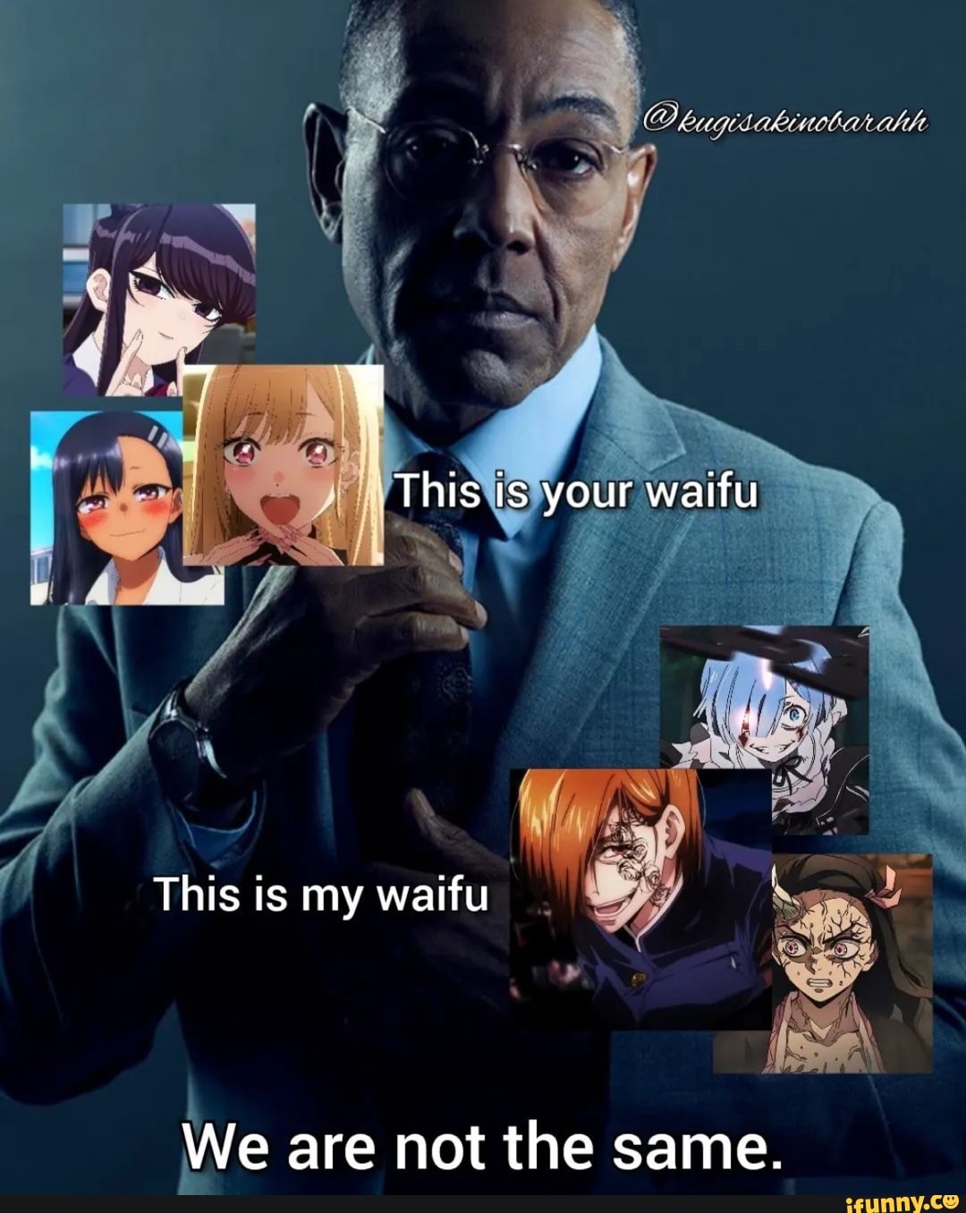 This is your waifu This is my waifu We are not the same. - iFunny