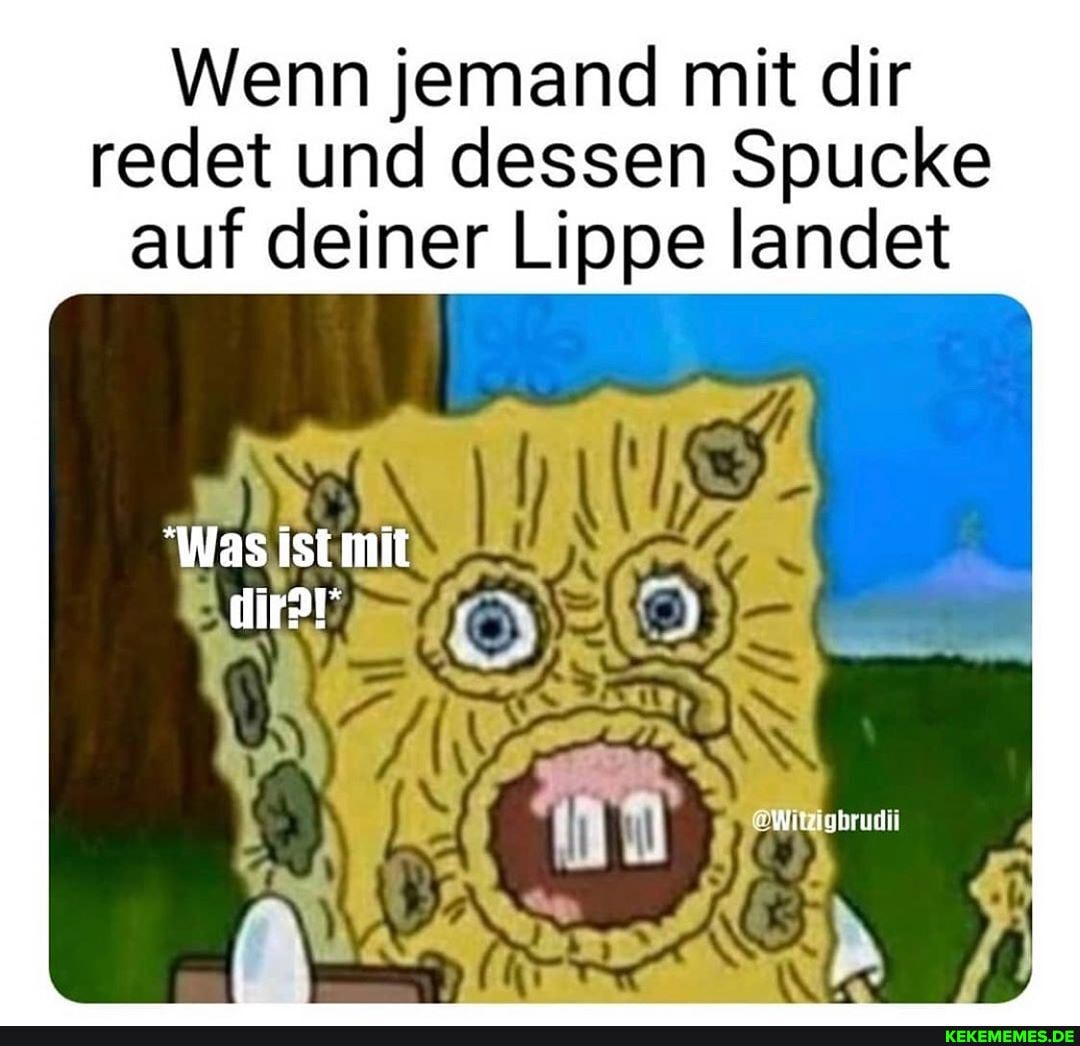 Wenn jemand mit dir redet und dessen Spucke auf deiner Lippe landet
"Was ist mit dir?!"
! Witzigbrudi