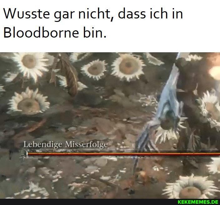 Wusste gar nicht, dass ich in
Bloodborne bin.
Lebendige Misserfolg -