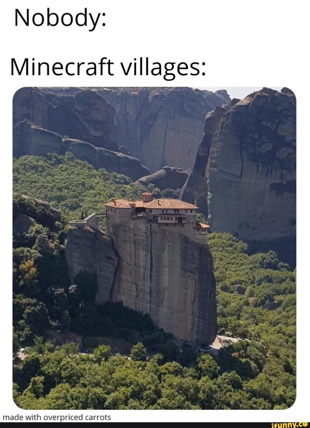 Nobody:
Minecraft villages:
made with overpriced carrots