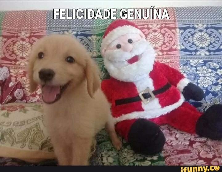 FELICIDADE GENUÍNA