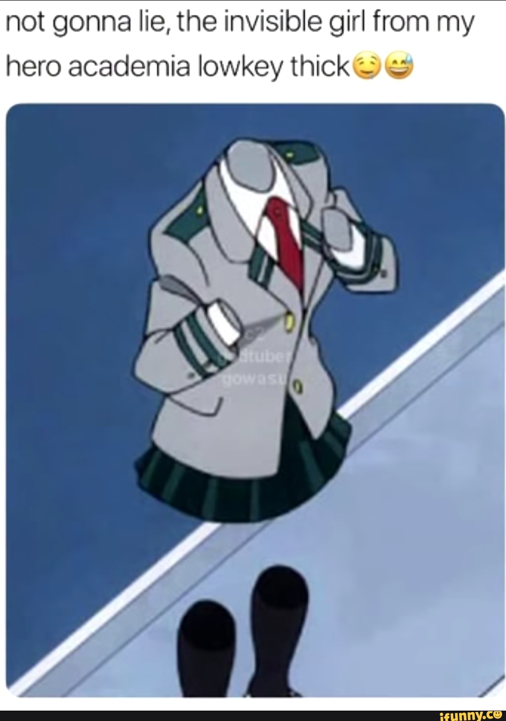 My Hero Academia Invisible Girl