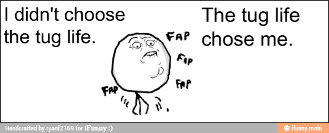 life
aP chose me.
Fip