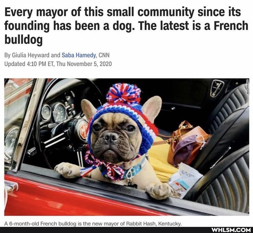 Every mayor of this small community since its founding has been a dog. The latest is a French bulldog
By Giulia Heyward and Saba Hamedy, CNN Updated PM ET, Thu November 5, 2020