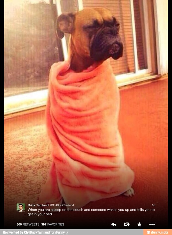 gy e Tetra cosas 3) When you are asleep on the couch and someone wakes you up and tls you to