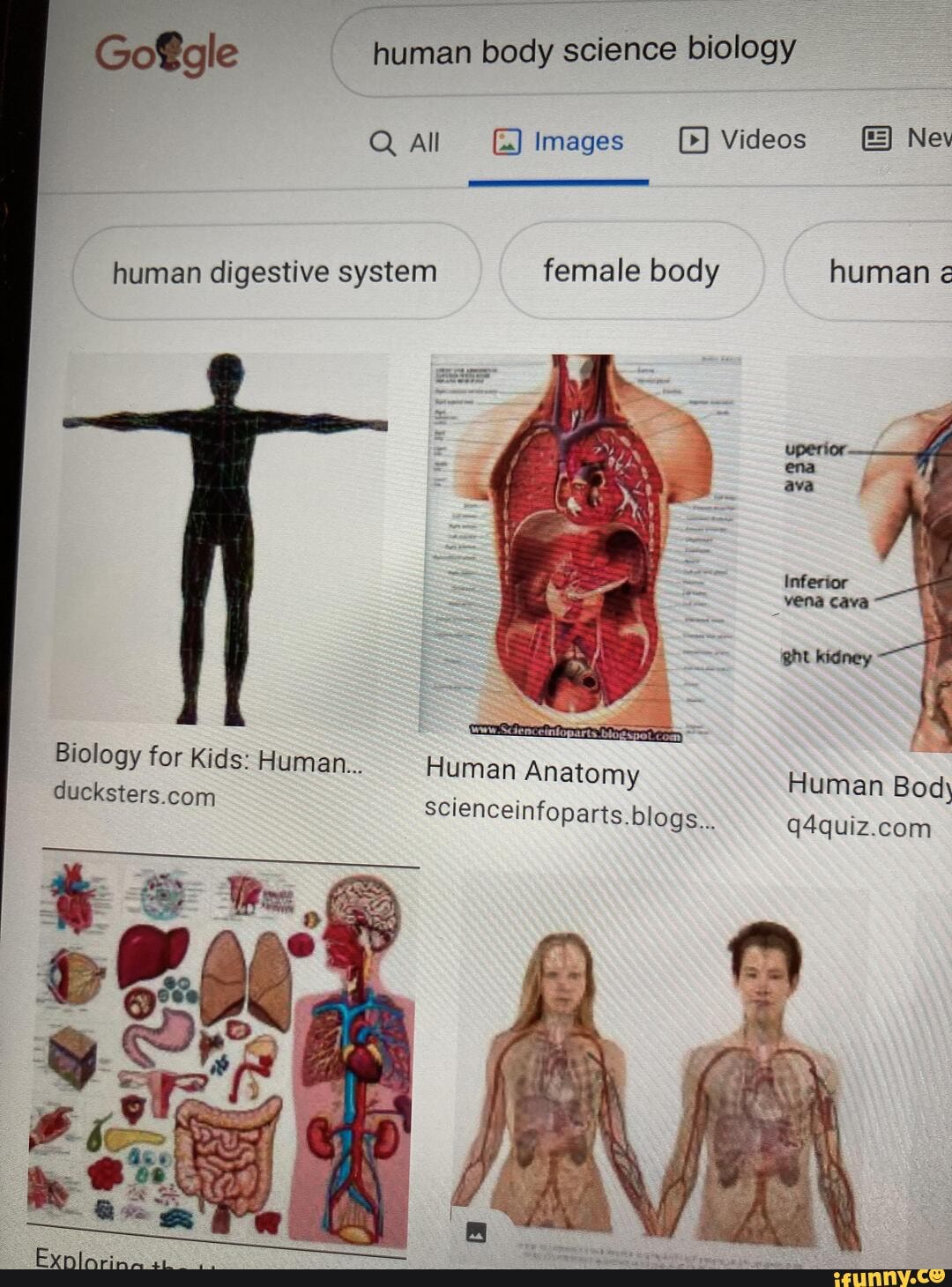 biology pictures human body