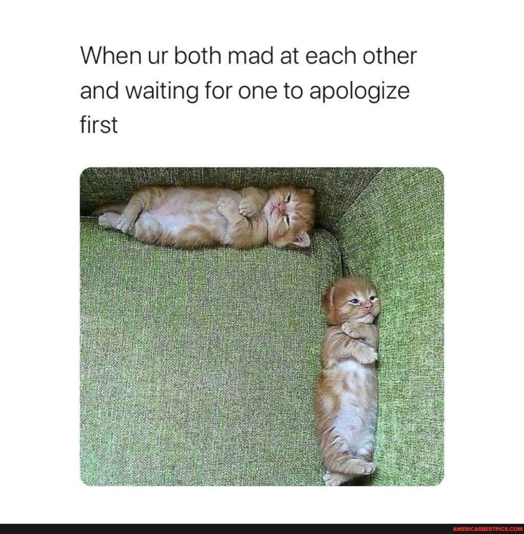 When ur both mad at each other and waiting for one to apologize first