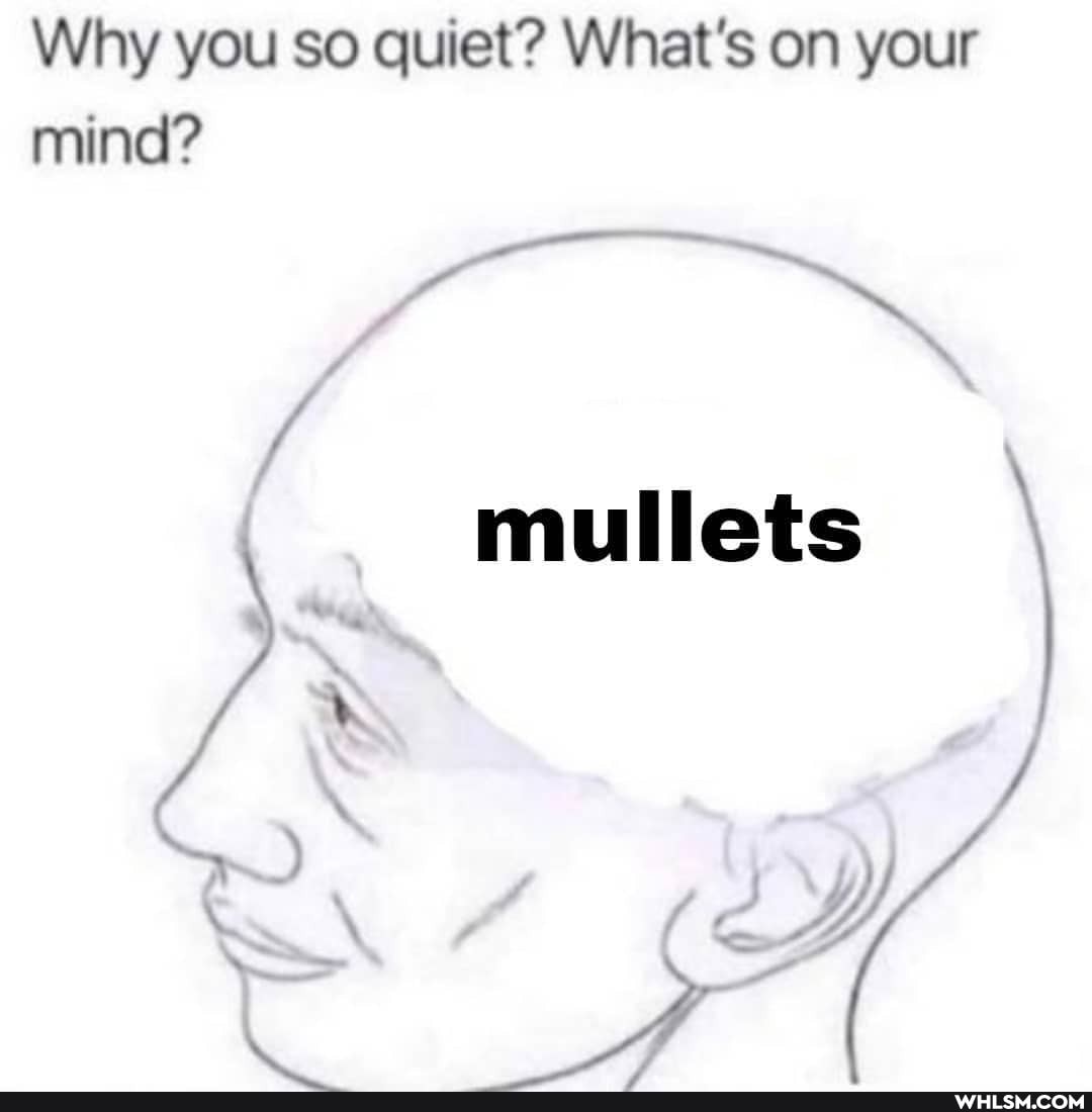 Why you so quiet? What's on your mind?
mullets \
\ a AL,