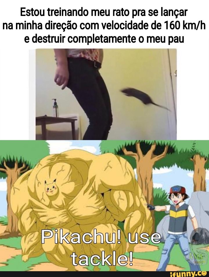 Estou treinando meu rato pra se lançar na minha direção com velocidade de 160 e destruir completamente o meu pau
ES