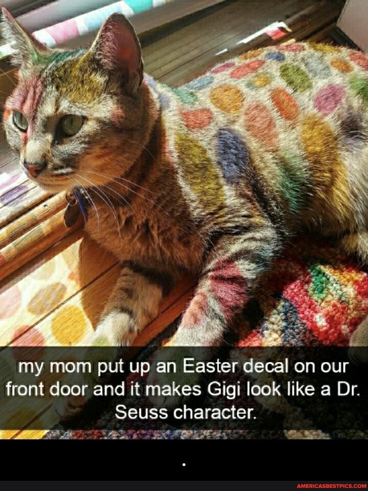 my mom put up an Easier decal on our
frorit door and it makes Gi
gi look like a Dr.
Seuss character. - .