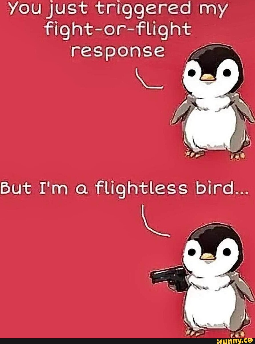You Just Triggered My Fight Or Flight Response Flightless Bird Ifunny